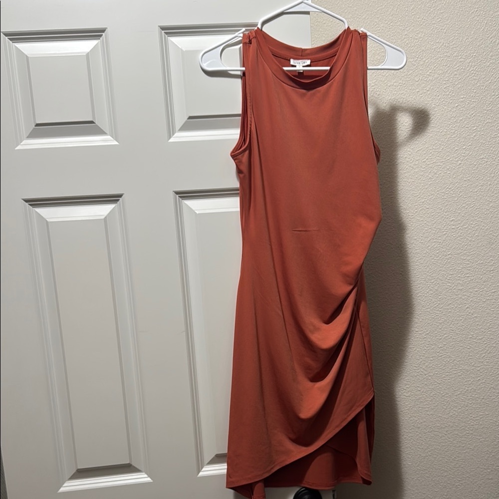 Elegant Rust Sleeveless Dress